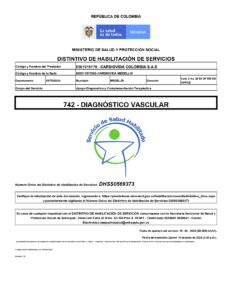 DISTINTIVOS_DHSS DIAGNOSTICO VASCULAR_page-0001